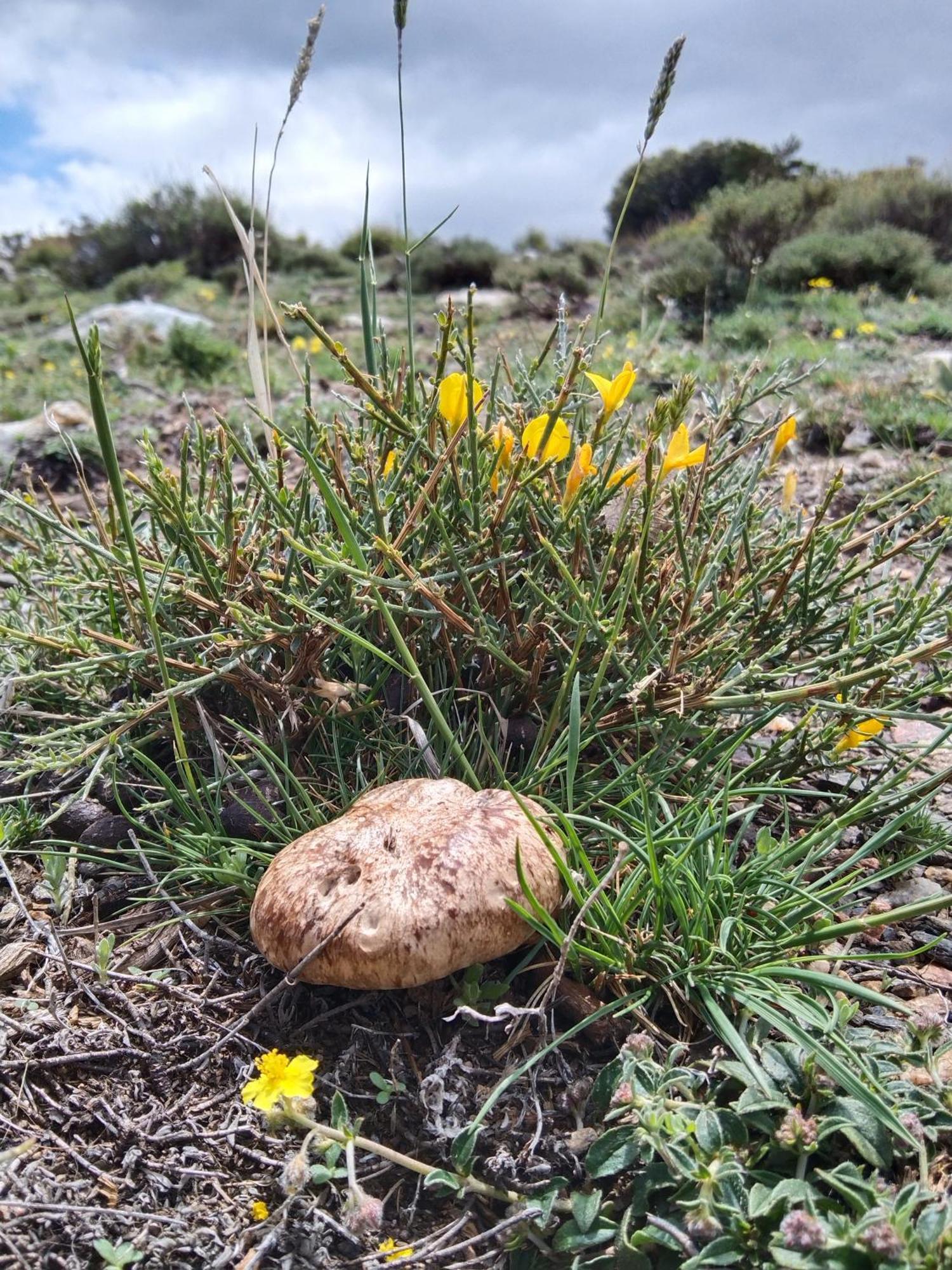 La Posada Del Altozano Lanteira Eksteriør bilde