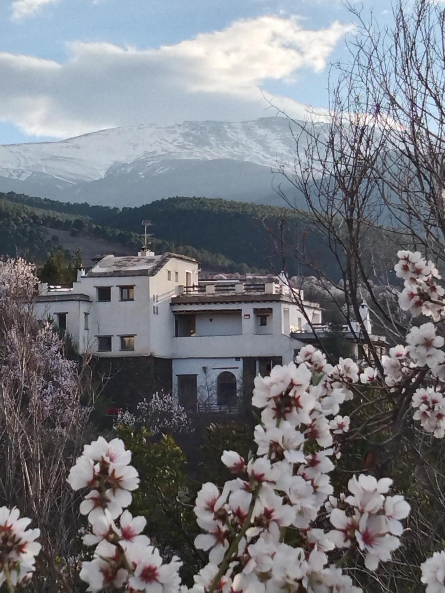 La Posada Del Altozano Lanteira Eksteriør bilde